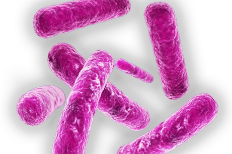 Artist representation of legionella bacteria under a powerful microscope.